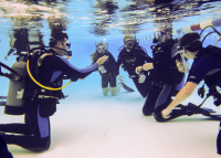 PADI Open Water Diver (vakantiecursus)   (3)